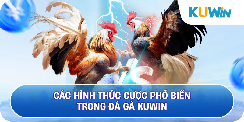 Các Hình Thức Cược Phổ Biến Trong Đá Gà KUWIN